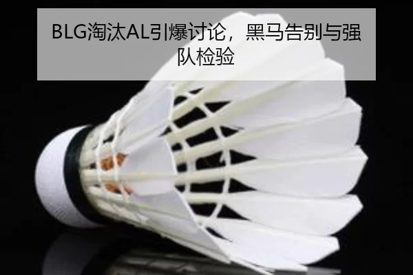 BLG淘汰AL引爆讨论，黑马告别与强队检验 | leyu